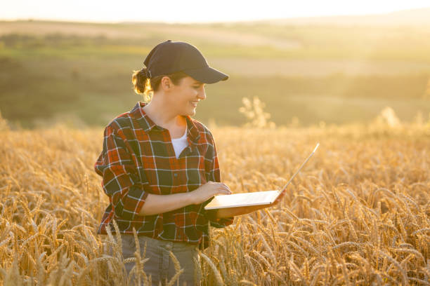 istock Woman farmer working with laptop on wheat field. 1729202064