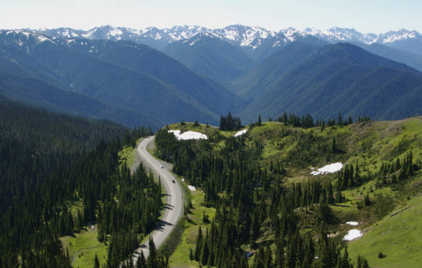 istock Road to Hurricane Ridge in Olympic National Park 172920366