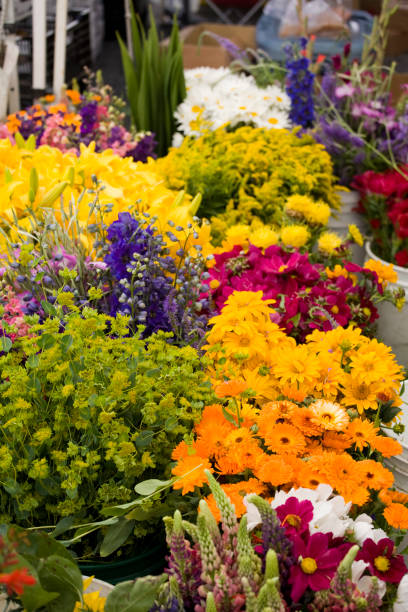 istock Outdoor fresh flower market 172920465