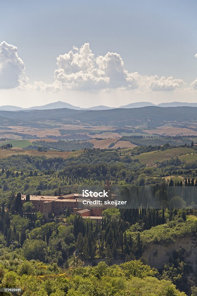 Monte Olivetti je, en Toscane - Photo de Arbre libre de droits