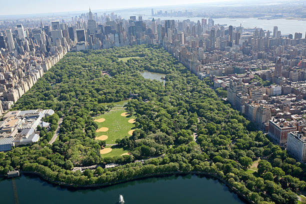 istock Aerial View of Central Park 172921372