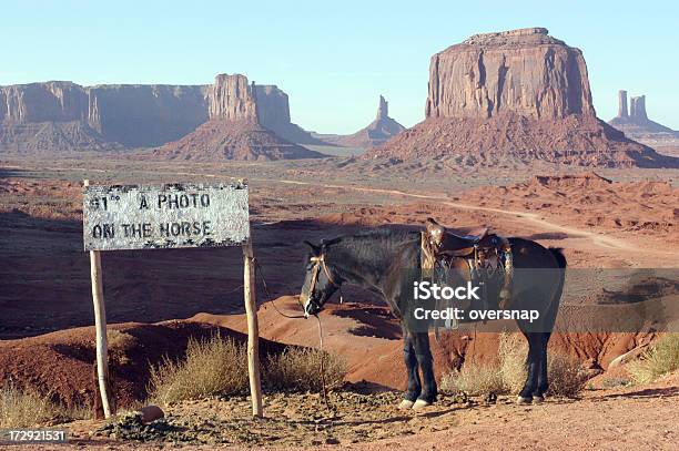 Monument Valley Stock Photo - Download Image Now - American Culture, American One Dollar Bill, Animal