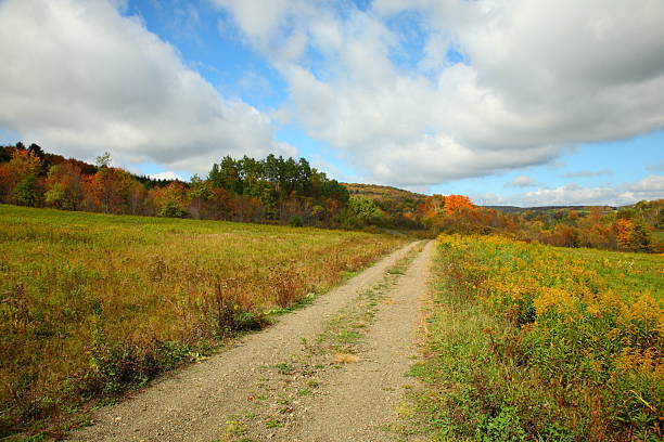 istock Dirt Road in Autumn 172922173