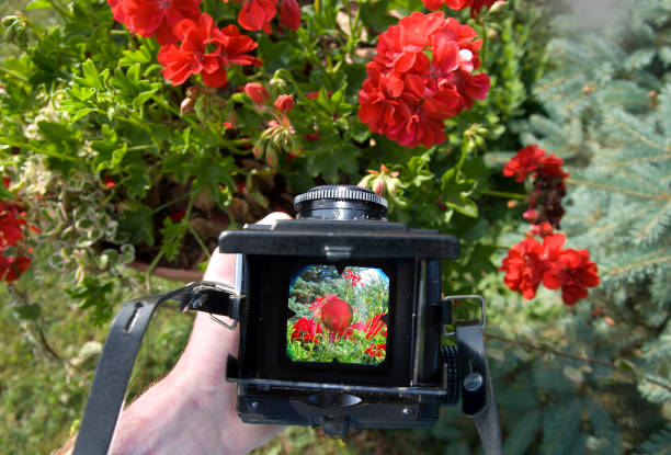 istock Photographer POV 172922390