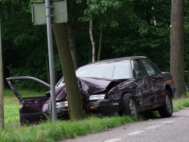 Purple car crashed, head on into a tree near the road  stock photo