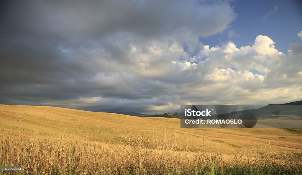 Campo di grano in Toscana e cielo minaccioso, la Val d'Orcia Toscana, Italia - Foto stock royalty-free di Grano - Graminacee
