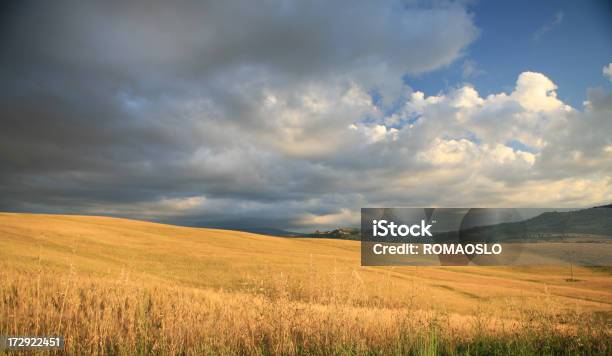 Campo Di Grano In Toscana E Cielo Minaccioso La Val Dorcia Toscana Italia - Fotografie stock e altre immagini di Grano - Graminacee