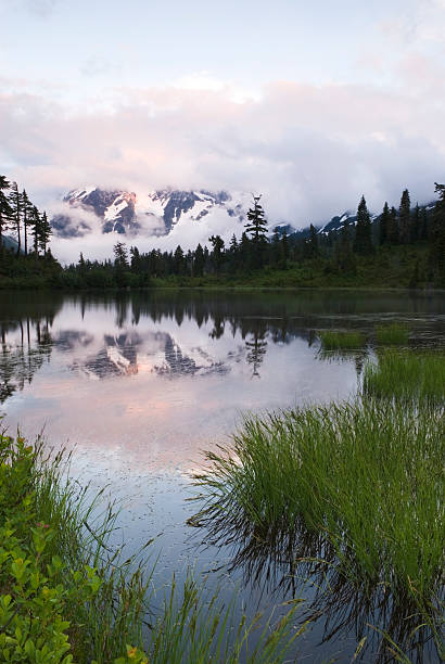 Mt Shuksan, evening after storm - III  cascade range north cascades national park mt baker mt shuksan stock pictures, royalty-free photos & images