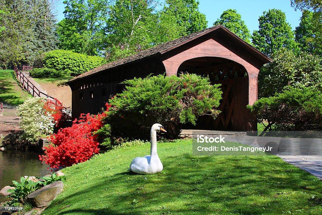 Stanley Park, il centro commerciale Westfield, Massachusetts - Foto stock royalty-free di Bellezza naturale