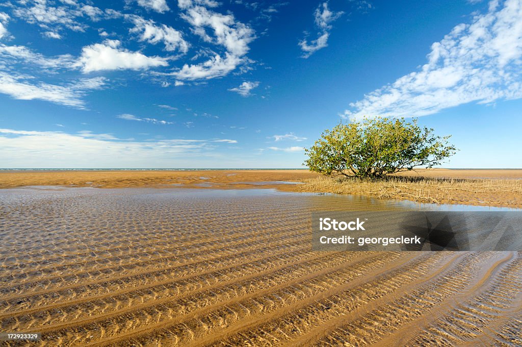 Mangrove in Westaustralien - Lizenzfrei Port Hedland Stock-Foto