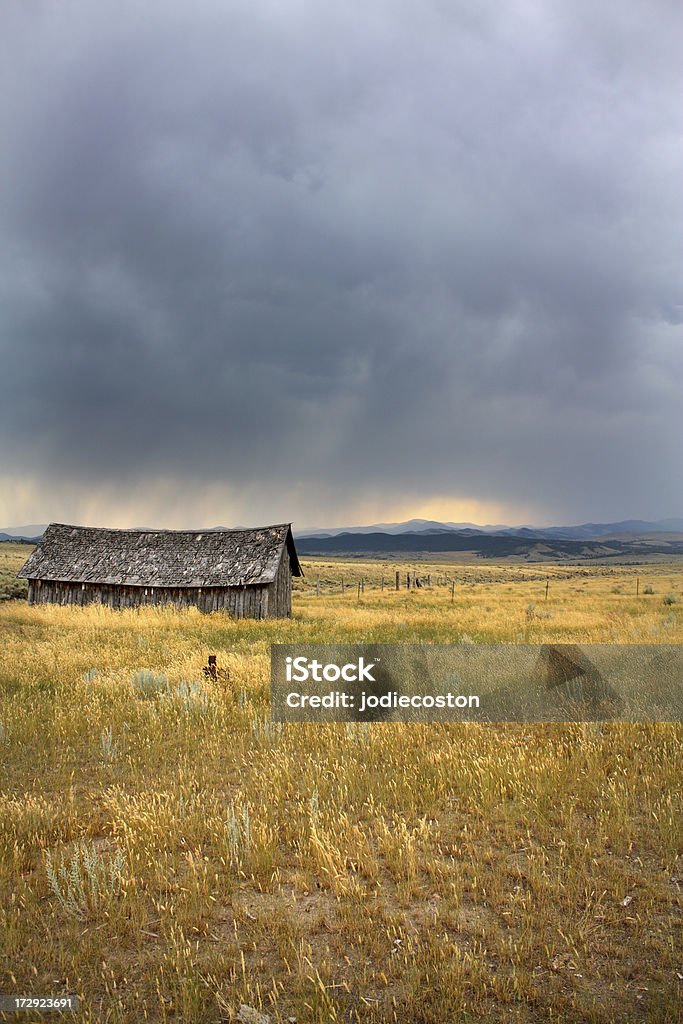 A paisagem de Montana - Foto de stock de Acabado royalty-free
