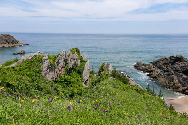 istock Tanesashi Coast in early summer 1729239438