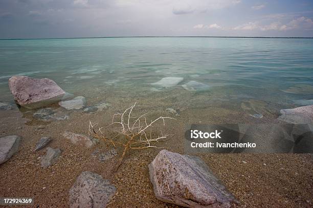 Onde O Mar Começa - Fotografias de stock e mais imagens de Ameixoeira brava - Ameixoeira brava, Areia, Azul