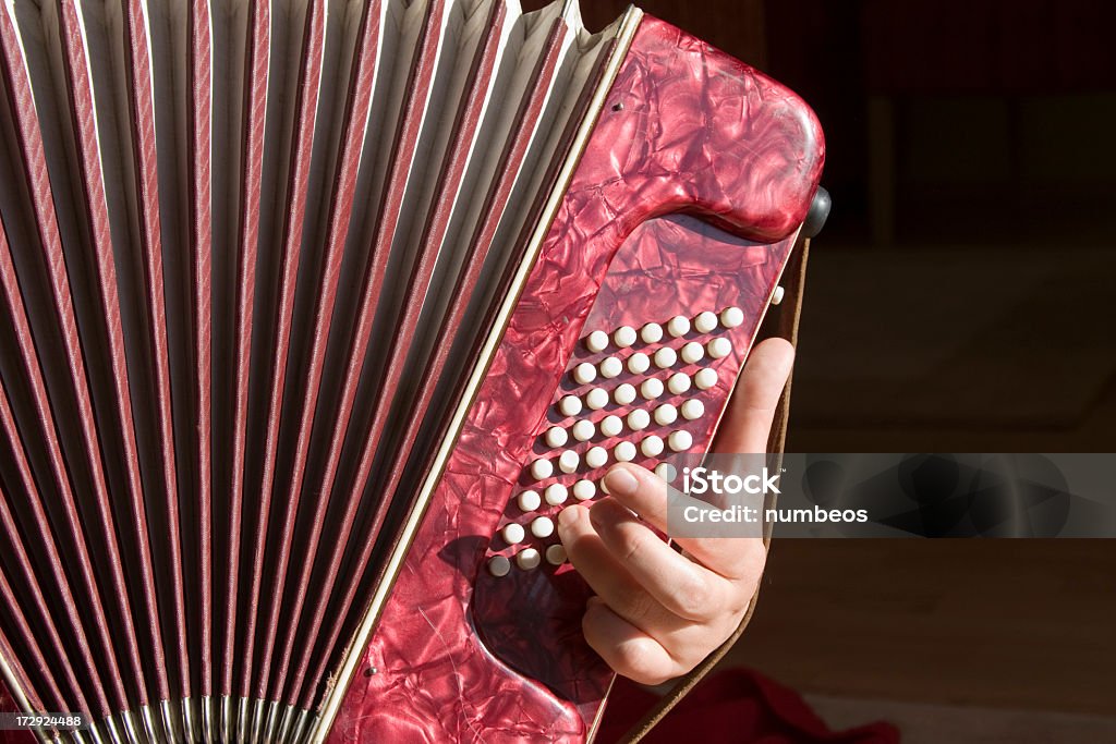 Akkordeon-Spieler - Lizenzfrei Akkordeon - Instrument Stock-Foto