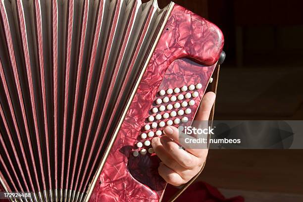 Akordeon Player - zdjęcia stockowe i więcej obrazów Akordeon - instrument - Akordeon - instrument, Czarne tło, Czerwony