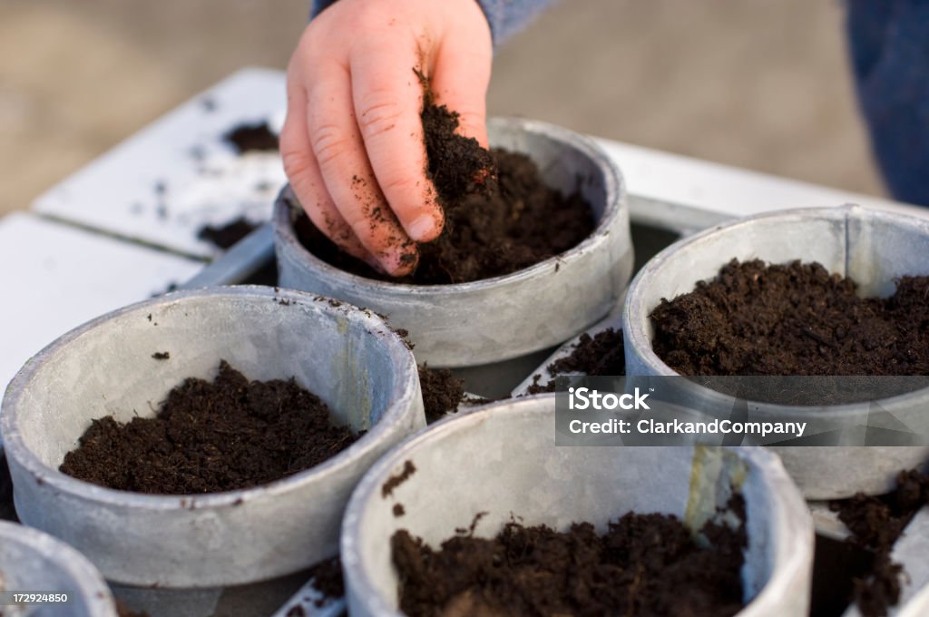 Aussaat der Samen In den Frühling - Lizenzfrei Eintopfen Stock-Foto