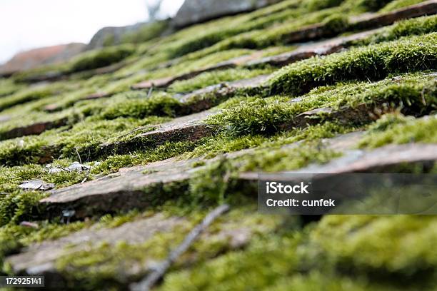 Mossy Tetto - Fotografie stock e altre immagini di Ambiente - Ambiente, Colore verde, Composizione orizzontale