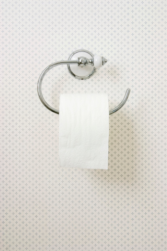 Full roll of toilet paper on a toilet roll holder hanging on a wall with retro style wallpaper.