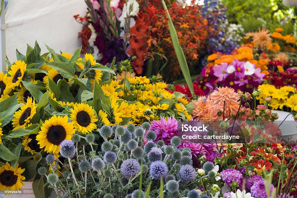 All'aperto fiori freschi presso gli agricoltori street market - Foto stock royalty-free di Ambientazione esterna