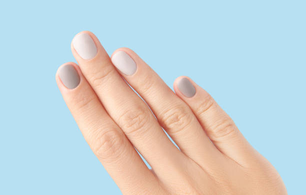 istock Close up womans hand with gray nail design on blue background 1729255157