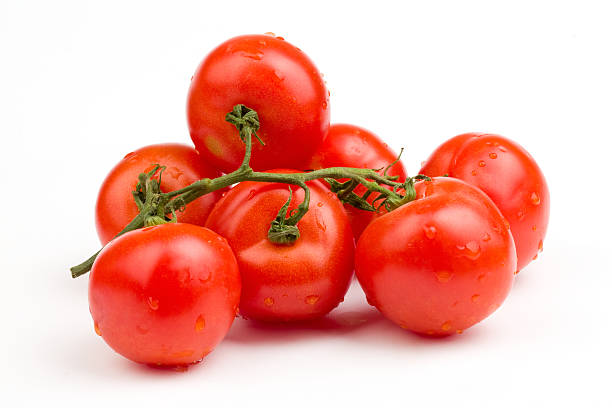 Red tomatoes still on the vine stock photo