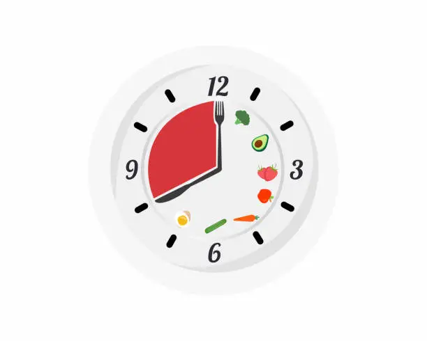 Vector illustration of 16:8 intermittent fasting Help your body burn fat Diet to Lose weight
