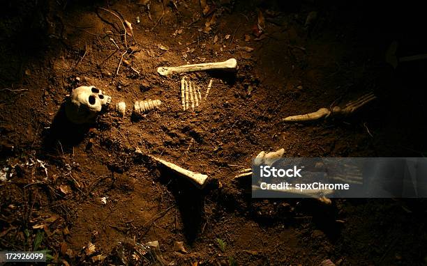 Сцены Преступления — стоковые фотографии и другие картинки Скелет человека - Скелет человека, Похороненный, Могила