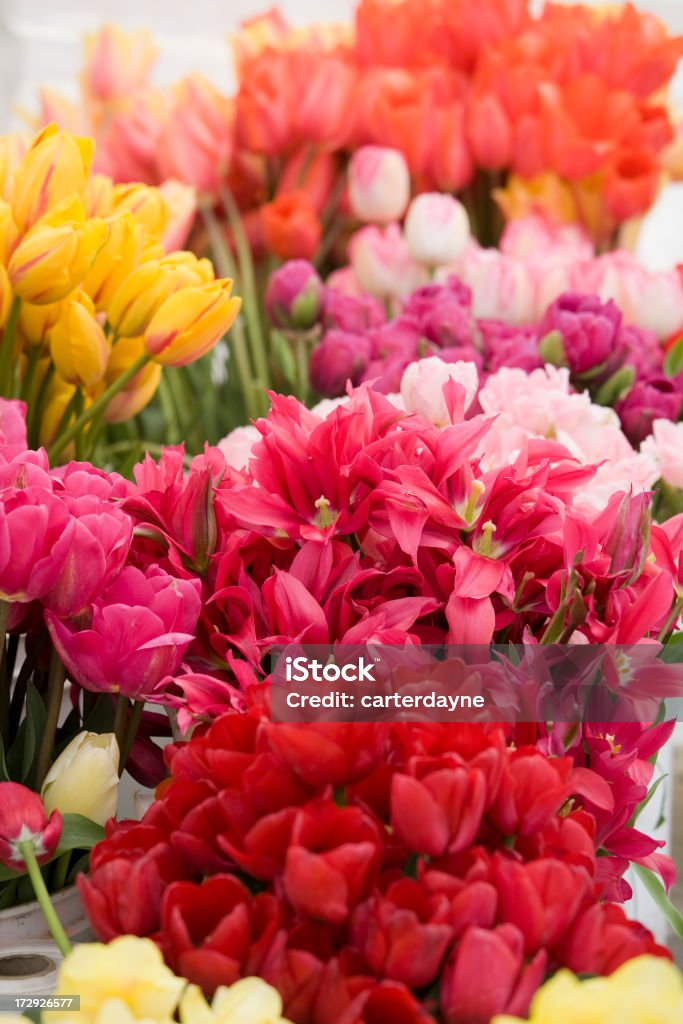 Hermosas flores en un mercado de calle - Foto de stock de Abundancia libre de derechos