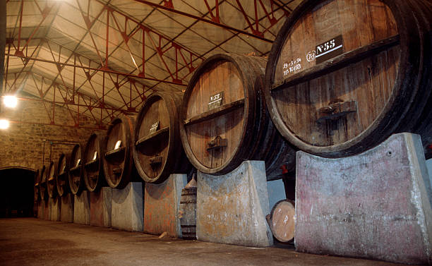 cantina - alcohol wine barrel la rioja foto e immagini stock