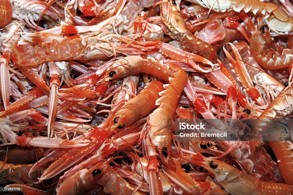 Camarones frescos sobre hielo - Foto de stock de Cigalas - Pescado y mariscos libre de derechos