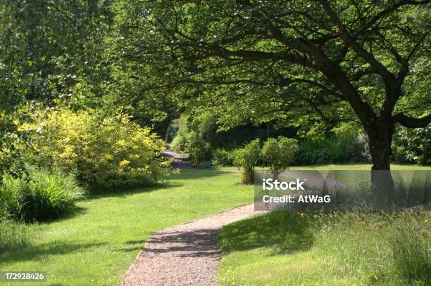 Im Schatten Der Bäume Stockfoto und mehr Bilder von Baum - Baum, Entspannung, Fotografie