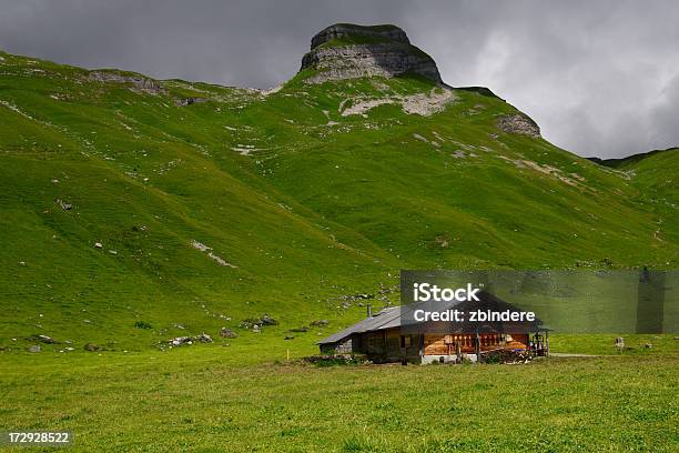 고산대 Chalet 베르네제 오버란트에 대한 스톡 사진 및 기타 이미지 - 베르네제 오버란트, 베른 주, 오두막