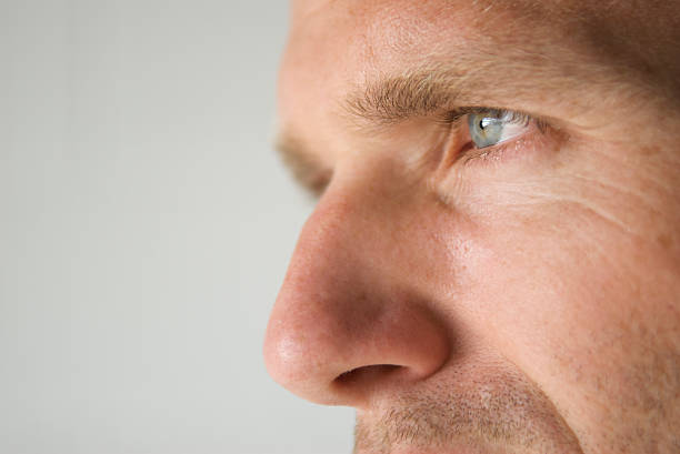 Profile Close-Up of a Man's Blue Eye and Prominent Nose Close-up shot of a man's blue eye and prominent nose human nose stock pictures, royalty-free photos & images