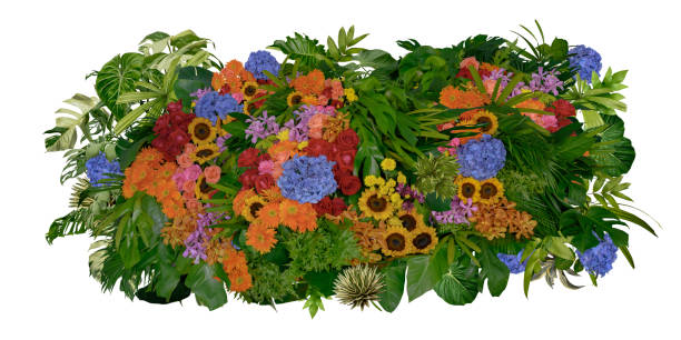 istock Hydrangeas, sunflowers and roses and various flowers with leaves isolated on white background. Creative ideas of spring flowers for weddings and love 1729285428