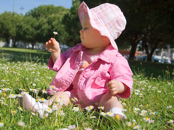 Baby looking at a Daisy stock photo