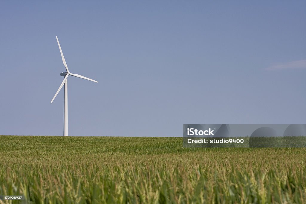 Turbina a vento in Cornfield - Foto stock royalty-free di Agricoltura