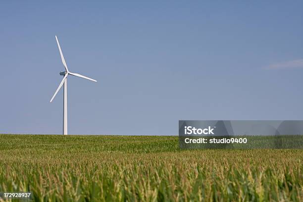 Turbina A Vento In Cornfield - Fotografie stock e altre immagini di Agricoltura - Agricoltura, Ambientazione esterna, Ambiente