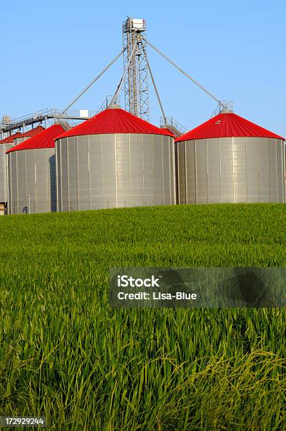 Novas Silos - Fotografias de stock e mais imagens de Agricultura - Agricultura, Ajardinado, Ao Ar Livre