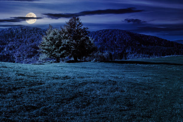 istock mountain summer landscape at night 1729293835