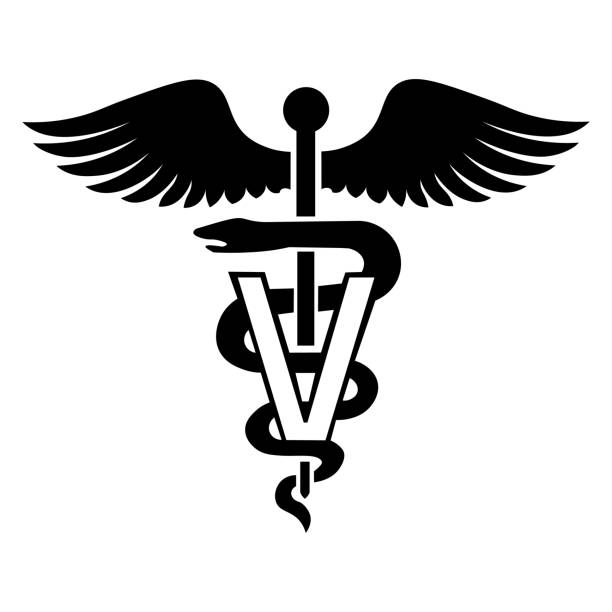 ilustraciones, imágenes clip art, dibujos animados e iconos de stock de icono del símbolo del caduceo veterinario. serpiente y palo con alas. logotipo de medicina veterinaria. cuidado de mascotas. aislado sobre fondo blanco. ilustración vectorial. - veterinario