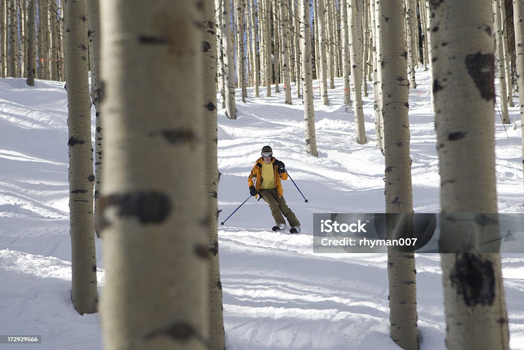 Der Aspens Ski - Lizenzfrei Skifahren Stock-Foto