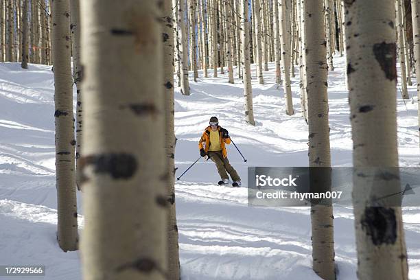 Der Aspens Ski Stockfoto und mehr Bilder von Skifahren - Skifahren, Utah, Zitterpappel