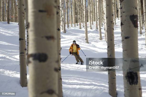 Narciarstwo Na Aspens - zdjęcia stockowe i więcej obrazów Narciarstwo - Narciarstwo, Stan Utah, Osika