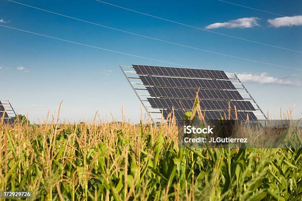 Natürlicher Energie Stockfoto und mehr Bilder von Sonnenkollektor - Sonnenkollektor, Mais - Gemüse, Mais - Zea