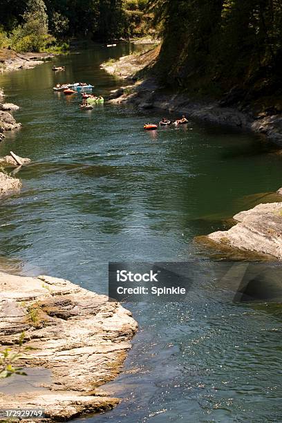 Tubería Al Río Foto de stock y más banco de imágenes de Familia - Familia, Natación, Tubo de laboratorio