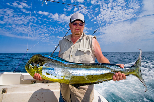 Redneck caucasian middle aged fisherman in a ball cap and shirt with sleeves cut out holding a giant bull mahi mahi, dorado or dolphin fish on a private fishing boat on the ocean under a mostly sunny sky with pretty scattered clouds.  Image was taken with a very wide angle lens.