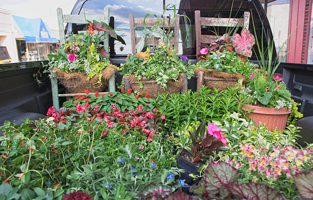 Truck Garden