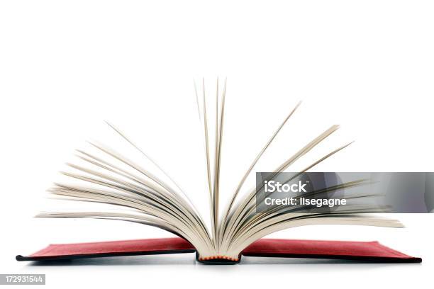 Open Book Stock Photo - Download Image Now - Book, Education, Extreme Close-Up