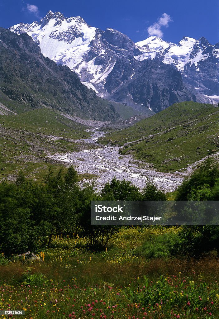 Góry kaukaza - Zbiór zdjęć royalty-free (Badanie)