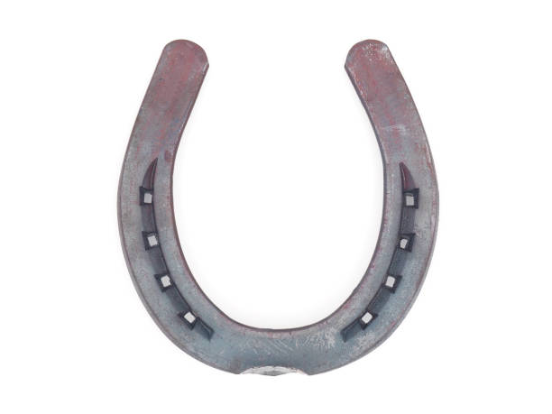 istock Lucky metal horseshoe isolated on white background 1729317059